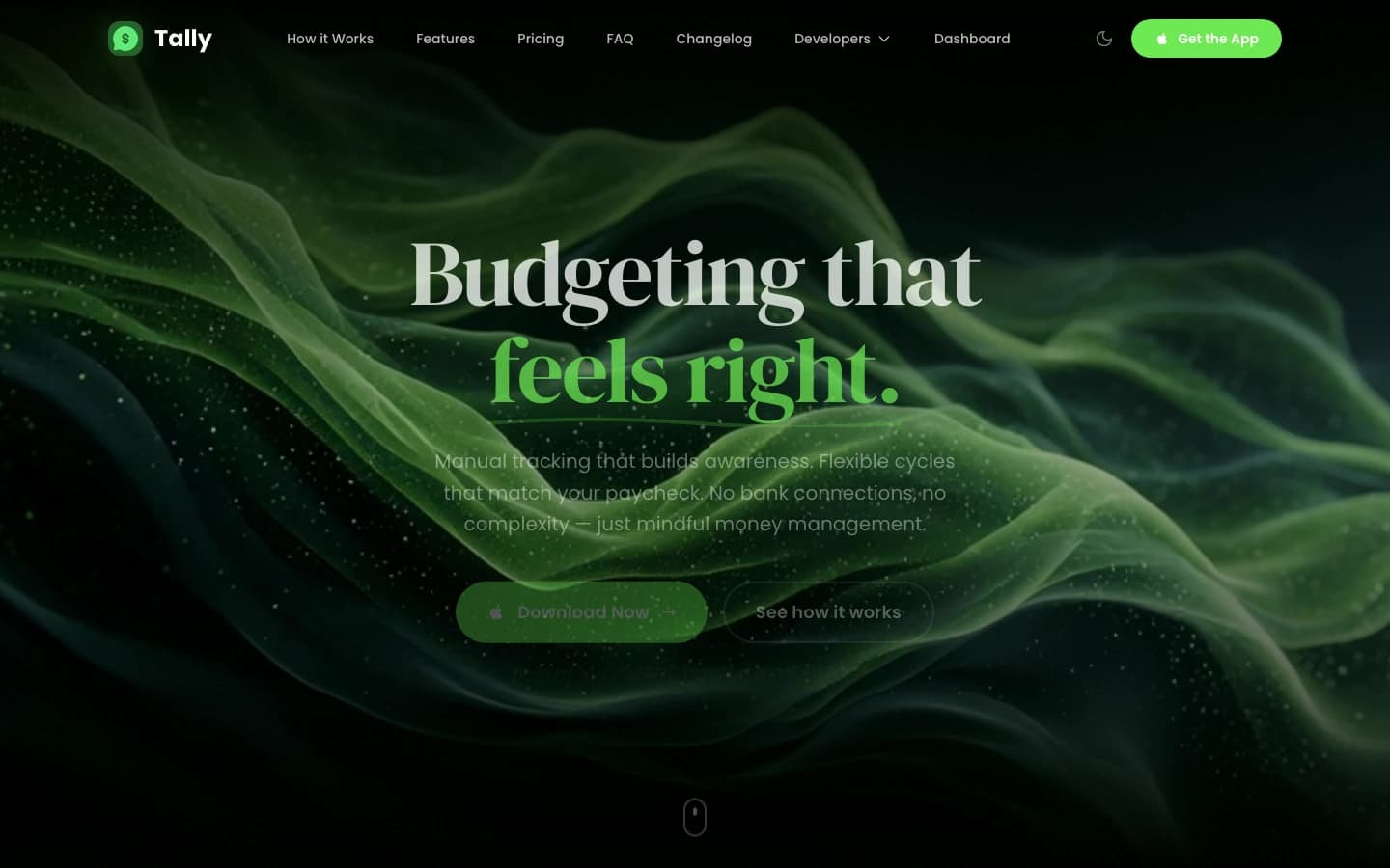 Tally Budget preview